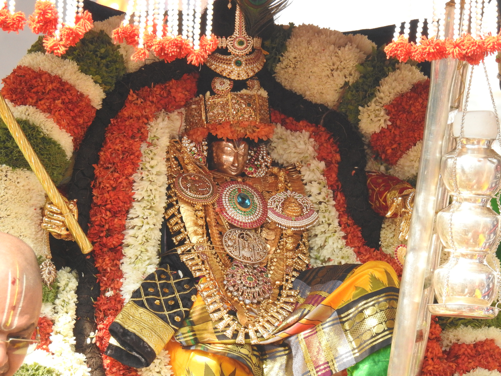 TIRUPATI AMMAWARI SUGAM DARSHAN